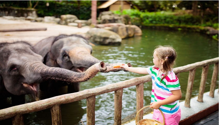 Zoo Trip